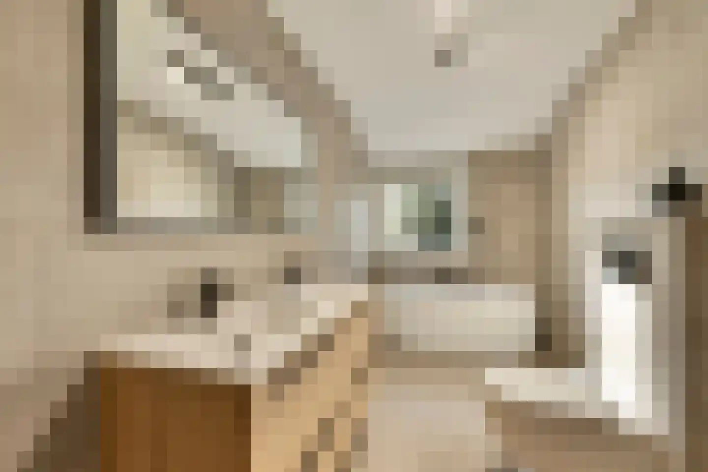 Kerkdijk 4 Achterveld thumbnail 30