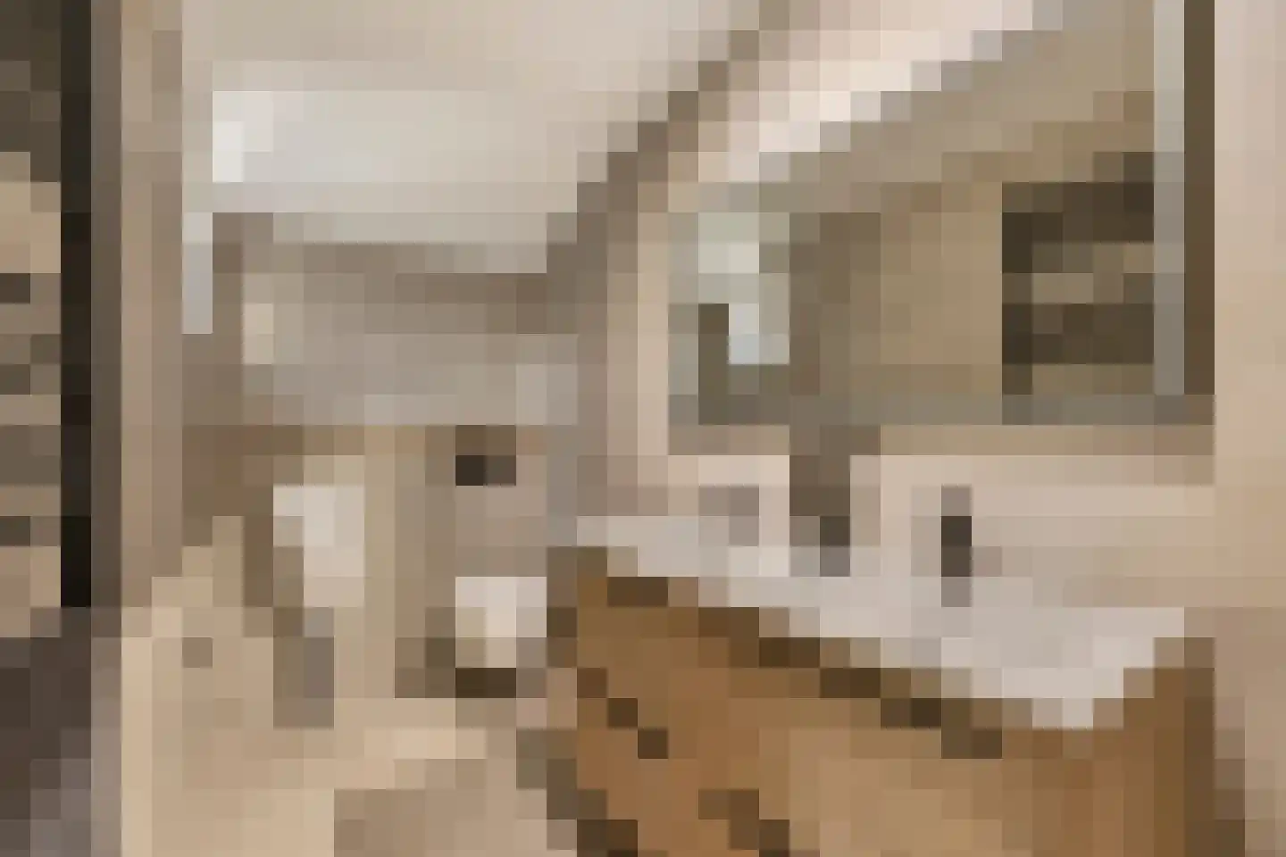 Kerkdijk 4 Achterveld thumbnail 35