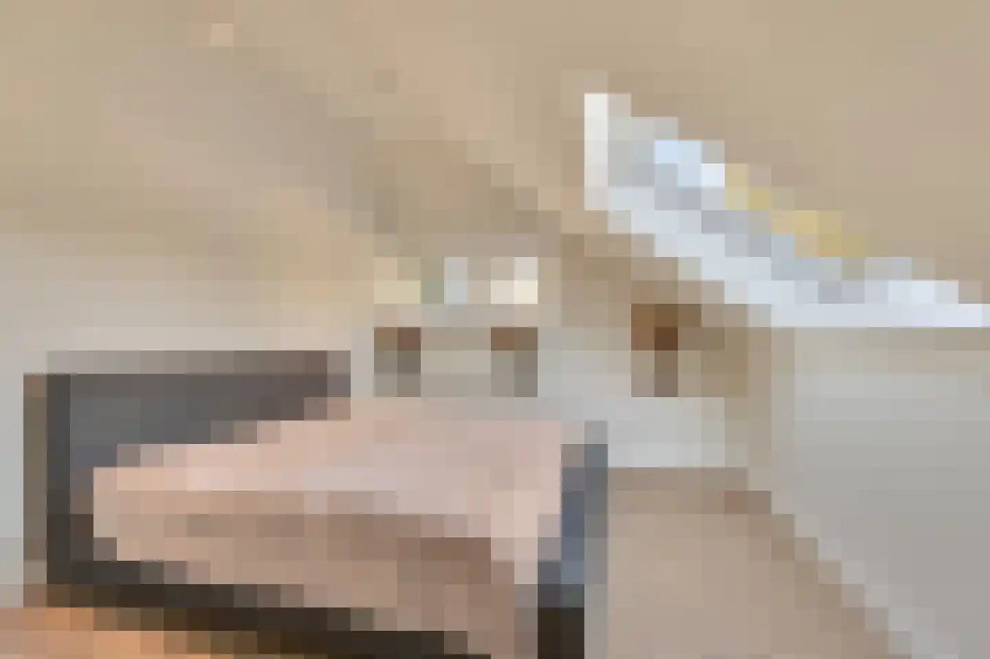 Kerkdijk 4 Achterveld thumbnail 37