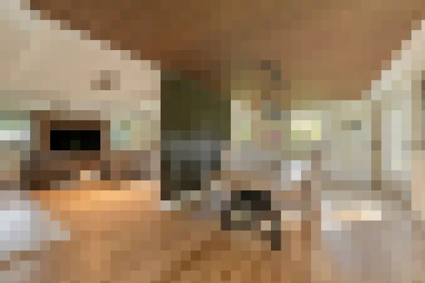 Kerkdijk 4 Achterveld thumbnail 5