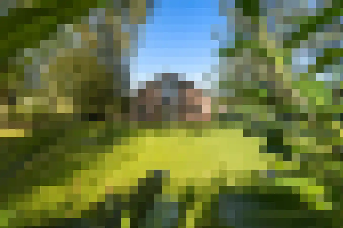 Kerkdijk 4 Achterveld thumbnail 52