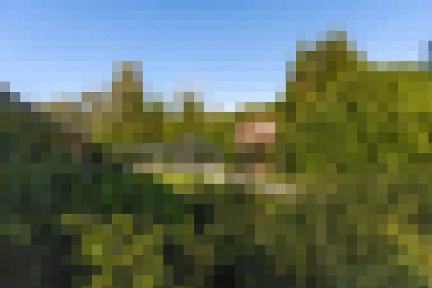 Kerkdijk 4 Achterveld thumbnail 57