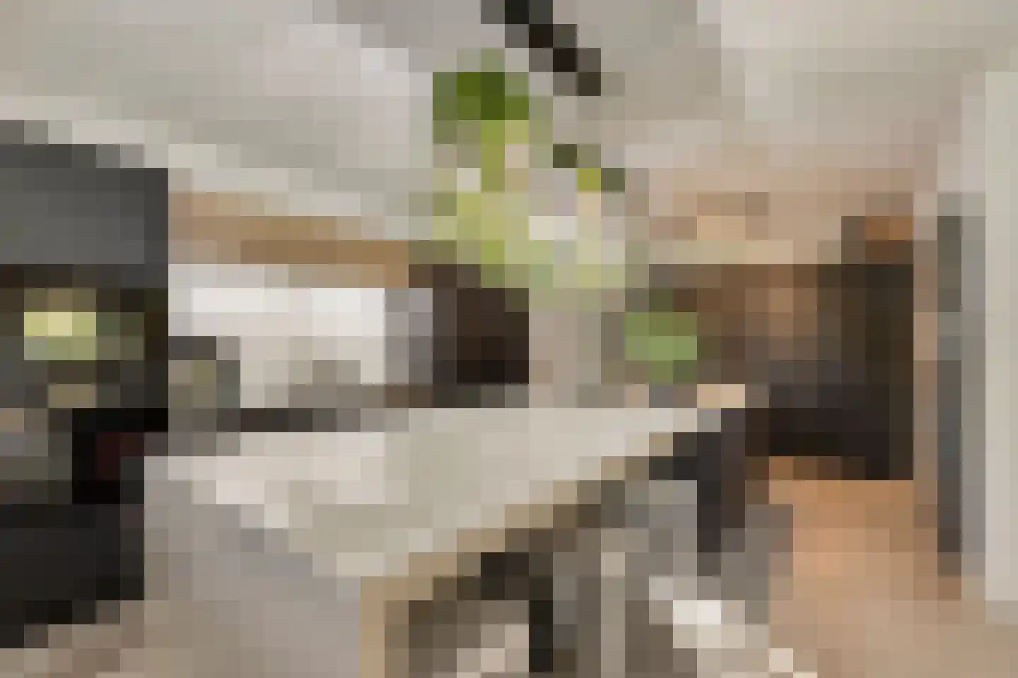 Kerkdijk 4 Achterveld thumbnail 6