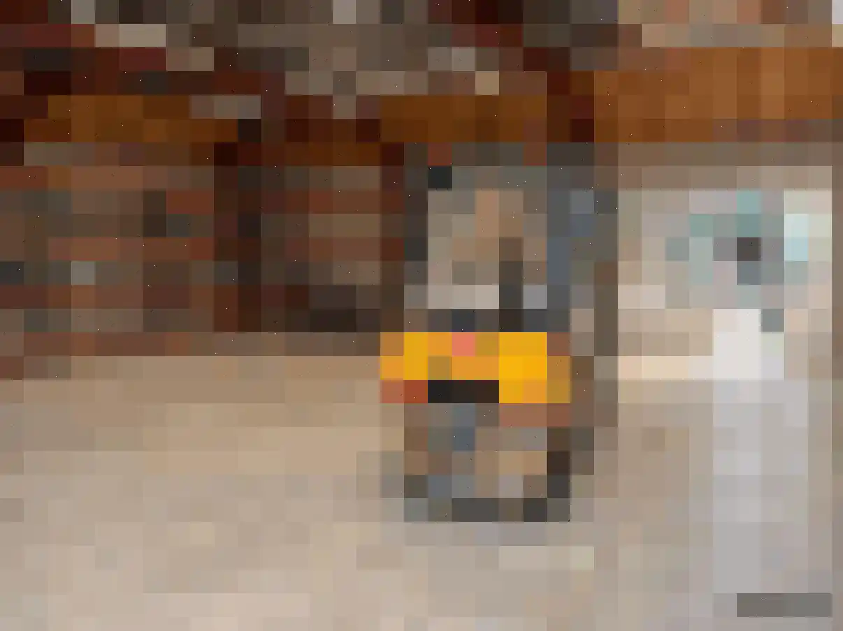 Kerkdijk 4 Achterveld thumbnail 66