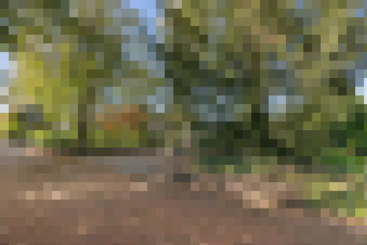Kerkdijk 4 Achterveld thumbnail 68