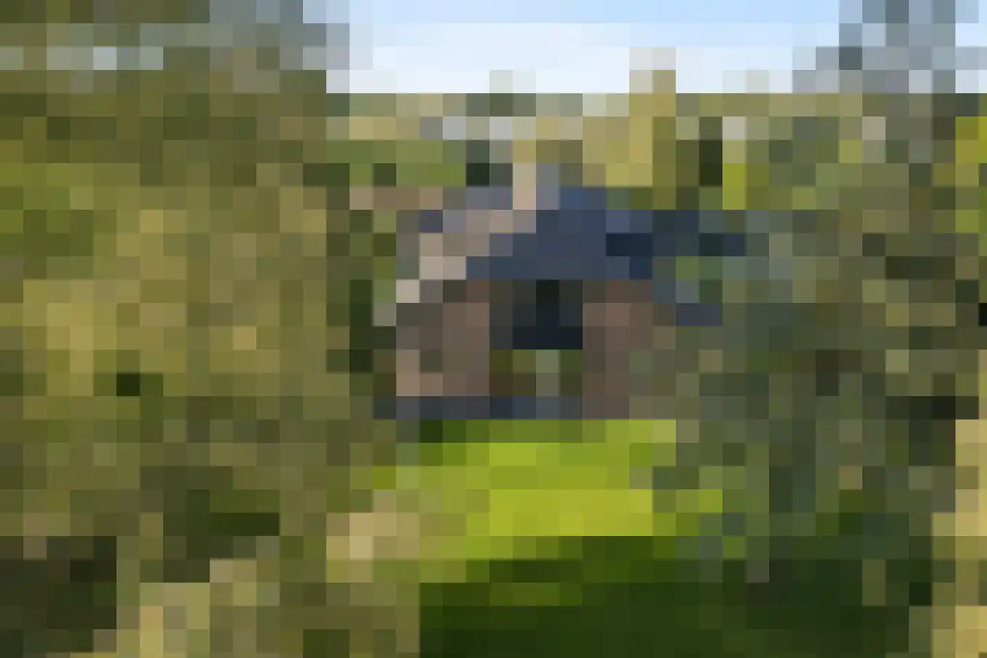 Kerkdijk 4 Achterveld thumbnail 70