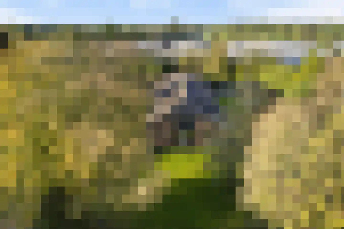 Kerkdijk 4 Achterveld thumbnail 71