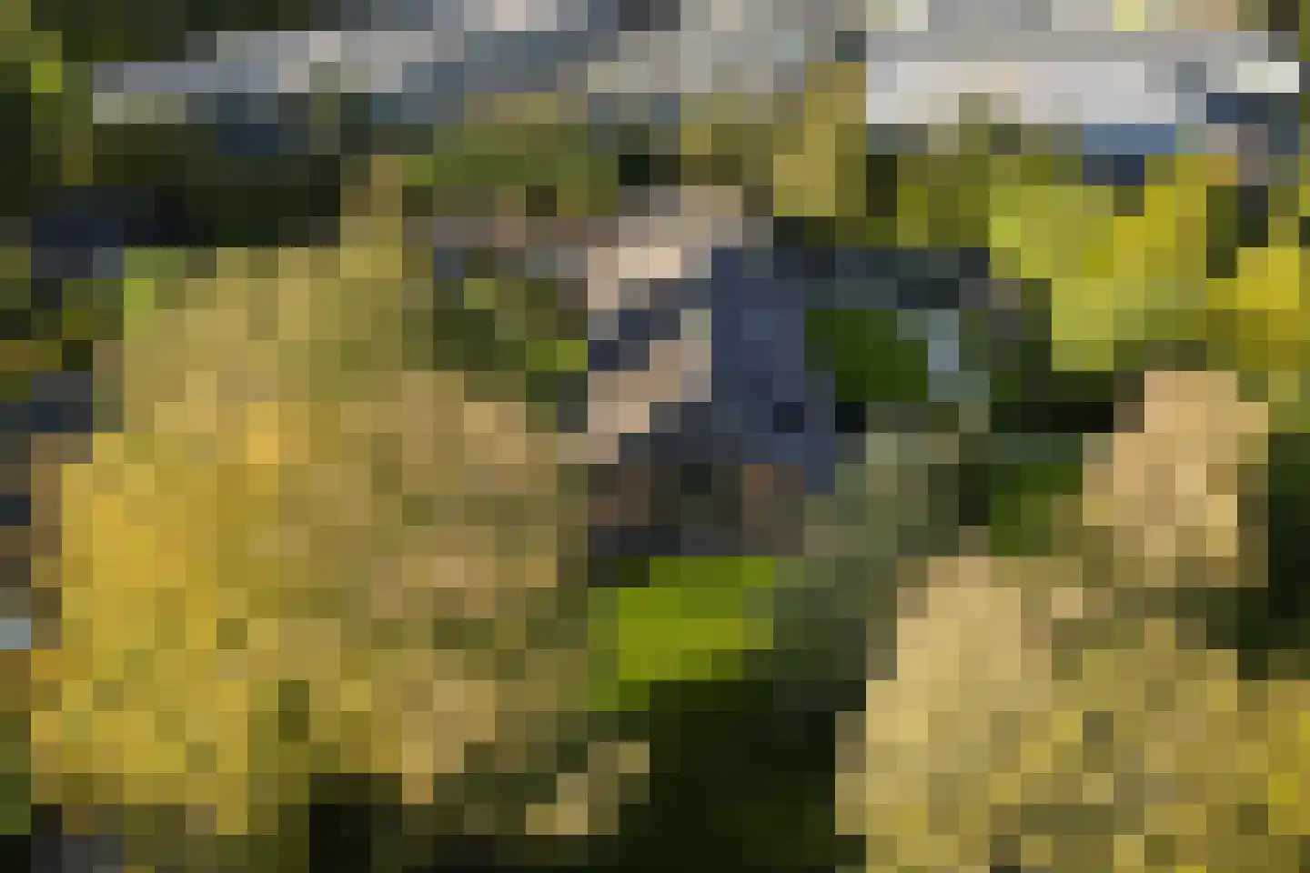 Kerkdijk 4 Achterveld thumbnail 72