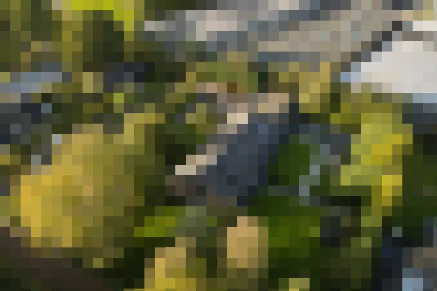 Kerkdijk 4 Achterveld thumbnail 73