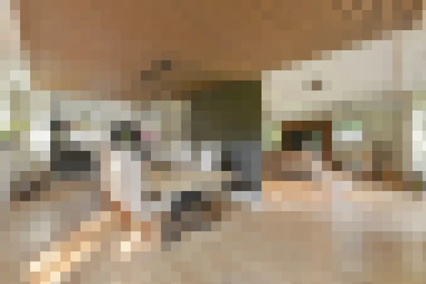 Kerkdijk 4 Achterveld thumbnail 8