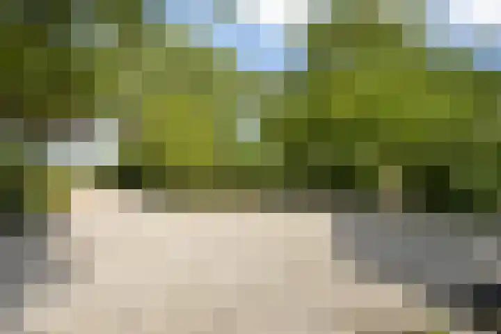 Kerkdijk 4 Nuland thumbnail 38