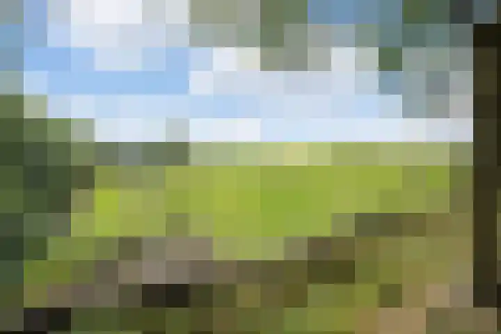 Kerkdijk 4 Nuland thumbnail 4
