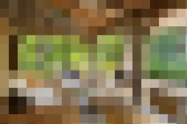 Kerkdijk 4 Nuland thumbnail 6