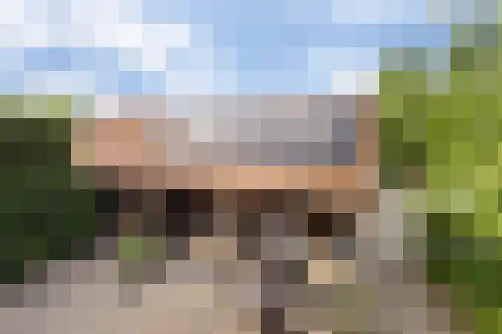 Kerkdijk 4 Nuland thumbnail 7