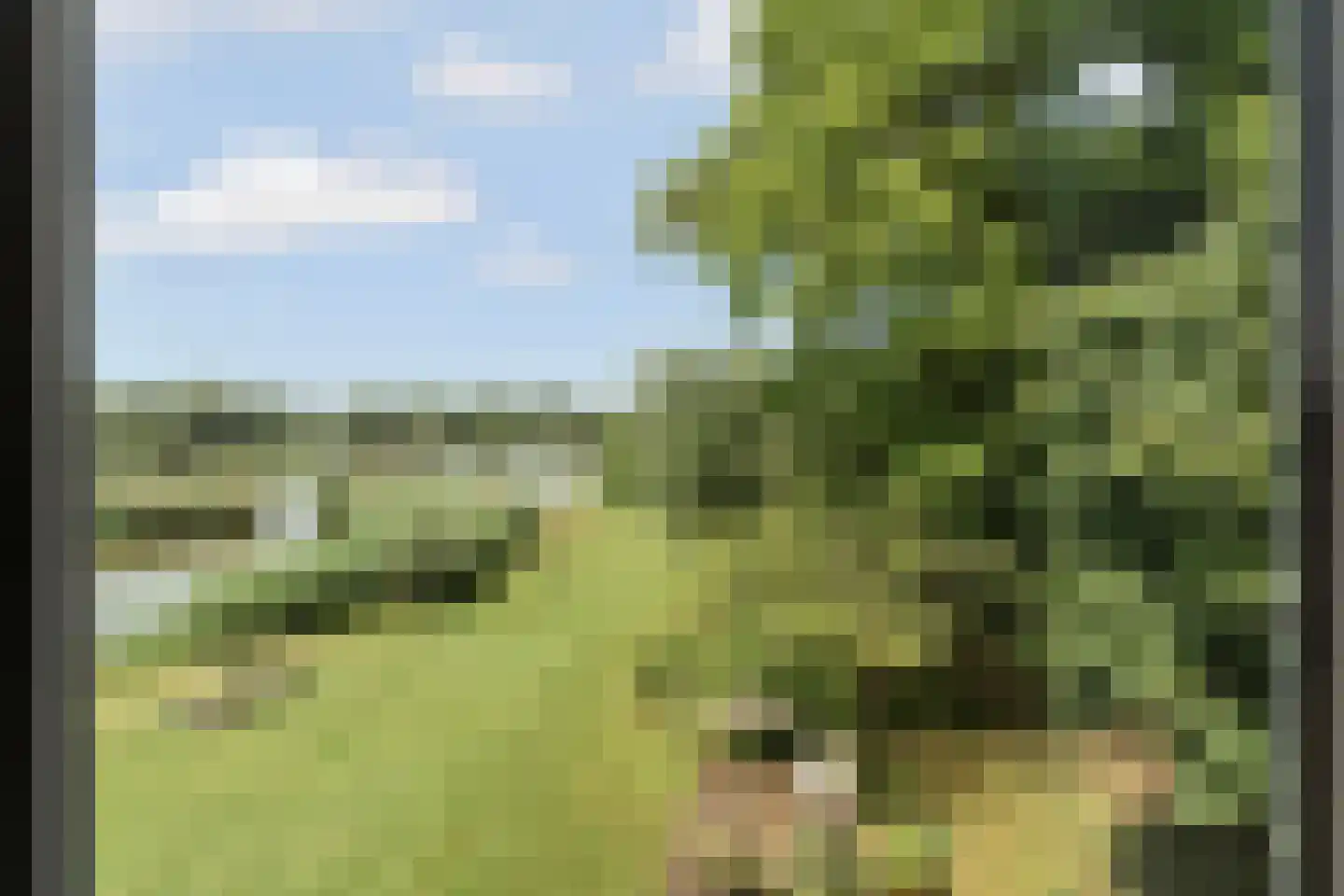 Kerkdijk 4 Ooij thumbnail 25