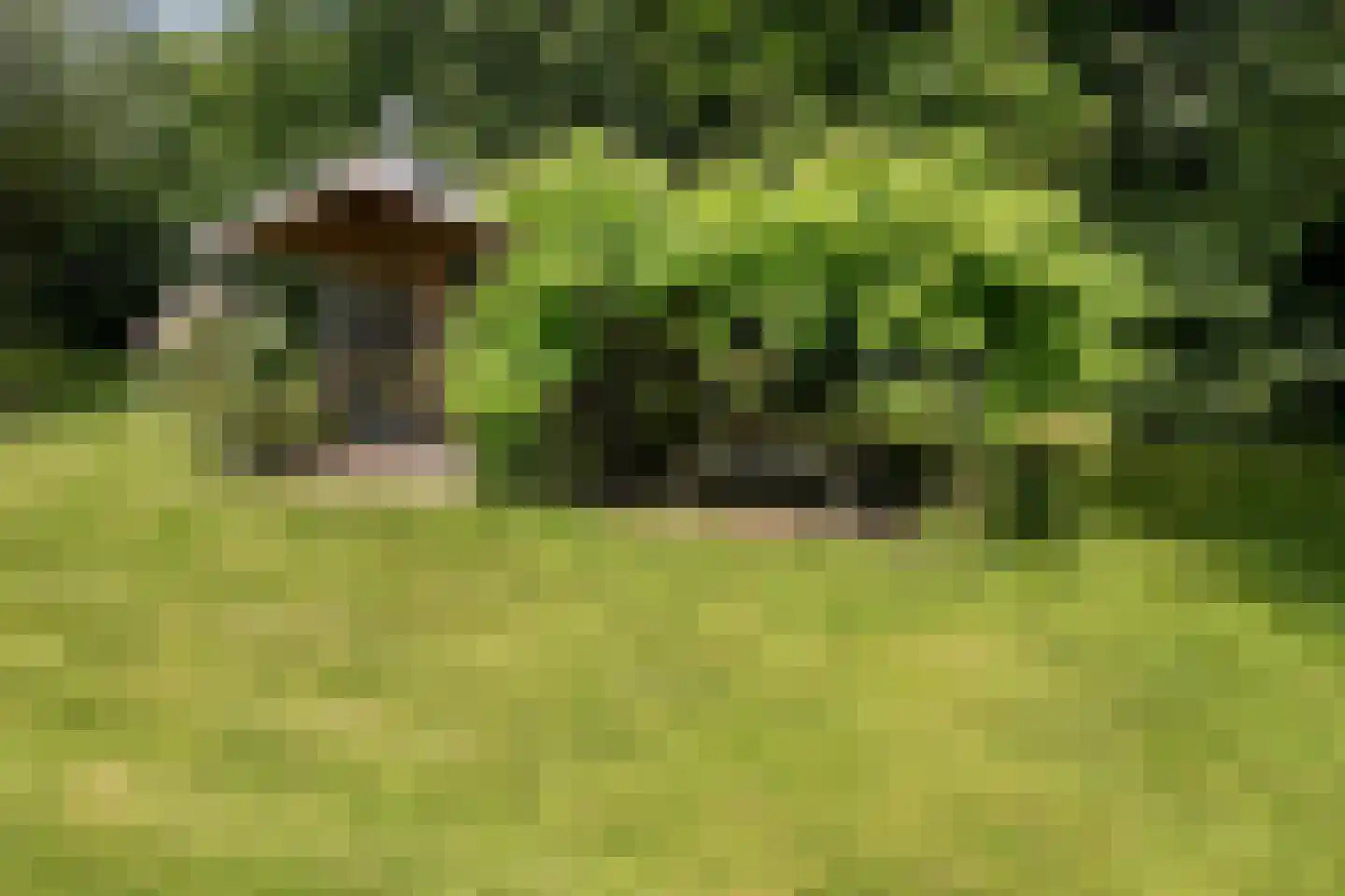 Kerkdijk 4 Ooij thumbnail 50