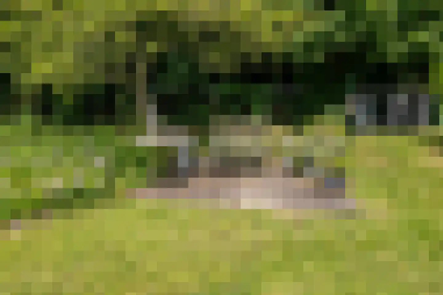 Kerkdijk 4 Ooij thumbnail 51