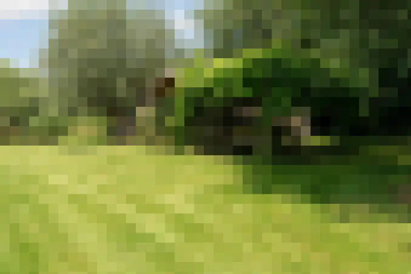 Kerkdijk 4 Ooij thumbnail 52