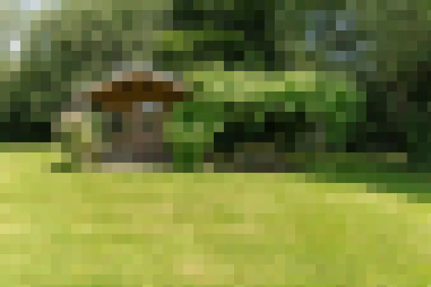 Kerkdijk 4 Ooij thumbnail 53