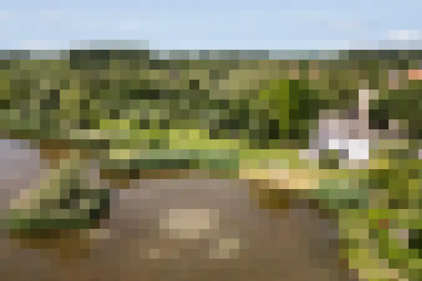 Kerkdijk 4 Ooij thumbnail 54