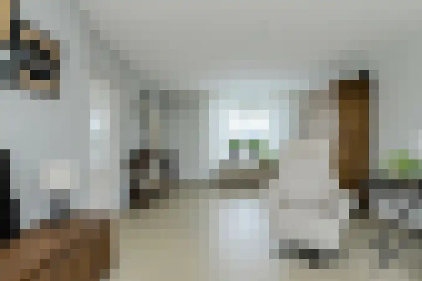Kerkdijk 51 Hooge Zwaluwe thumbnail 10