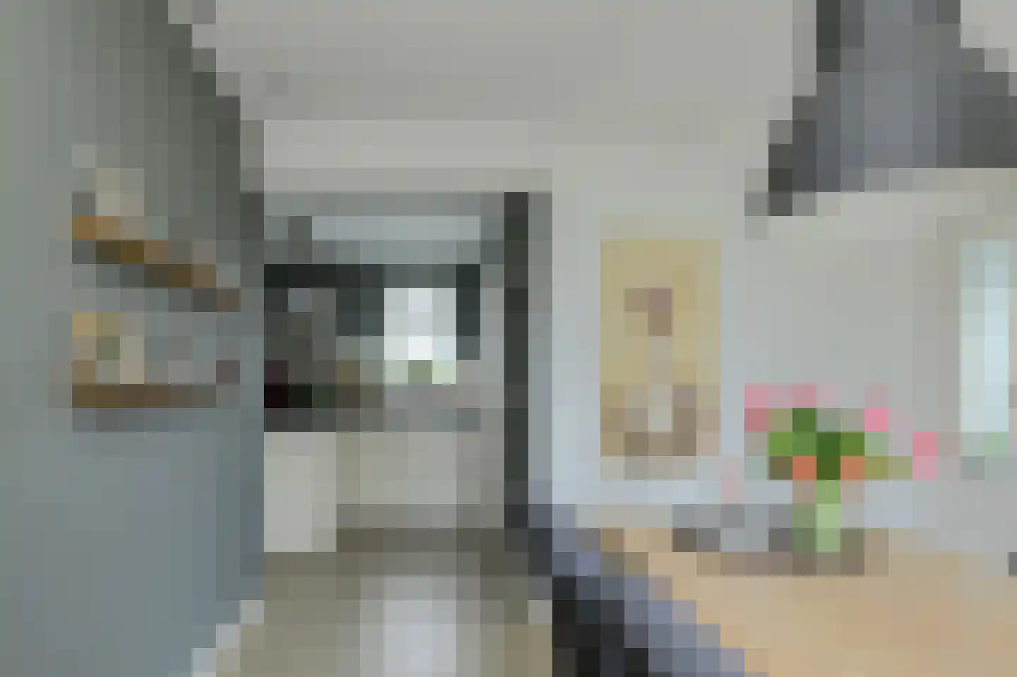 Kerkdijk 51 Hooge Zwaluwe thumbnail 18