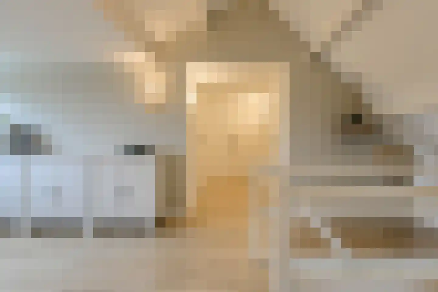 Kerkdijk 51 Hooge Zwaluwe thumbnail 35