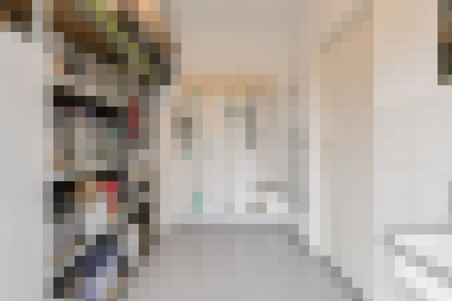 Kerkdijk 51 Hooge Zwaluwe thumbnail 43