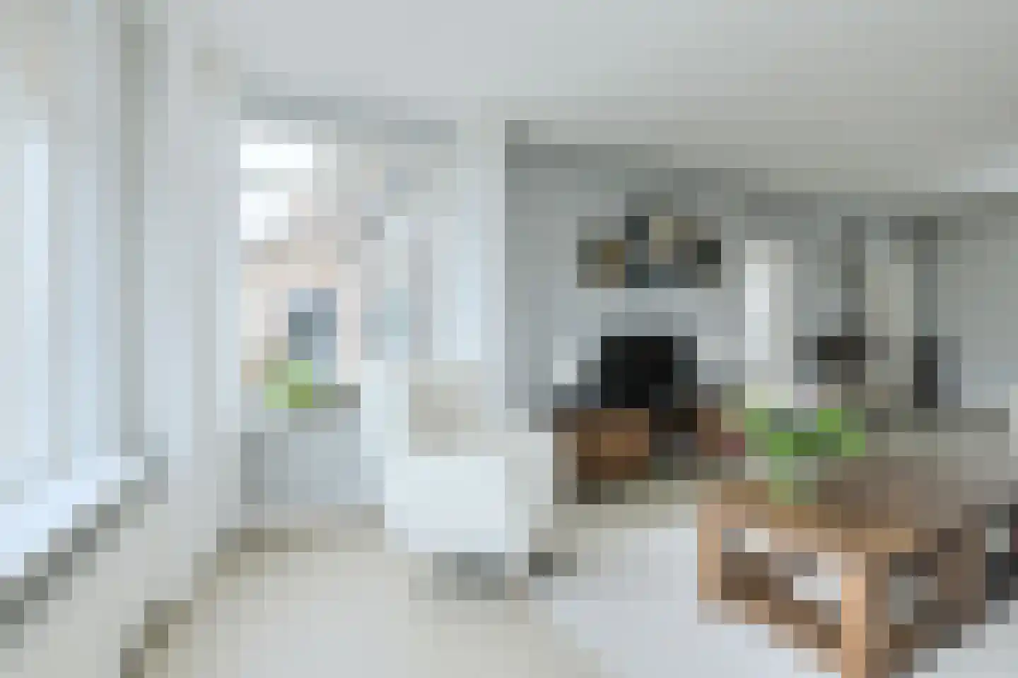Kerkdijk 51 Hooge Zwaluwe thumbnail 8