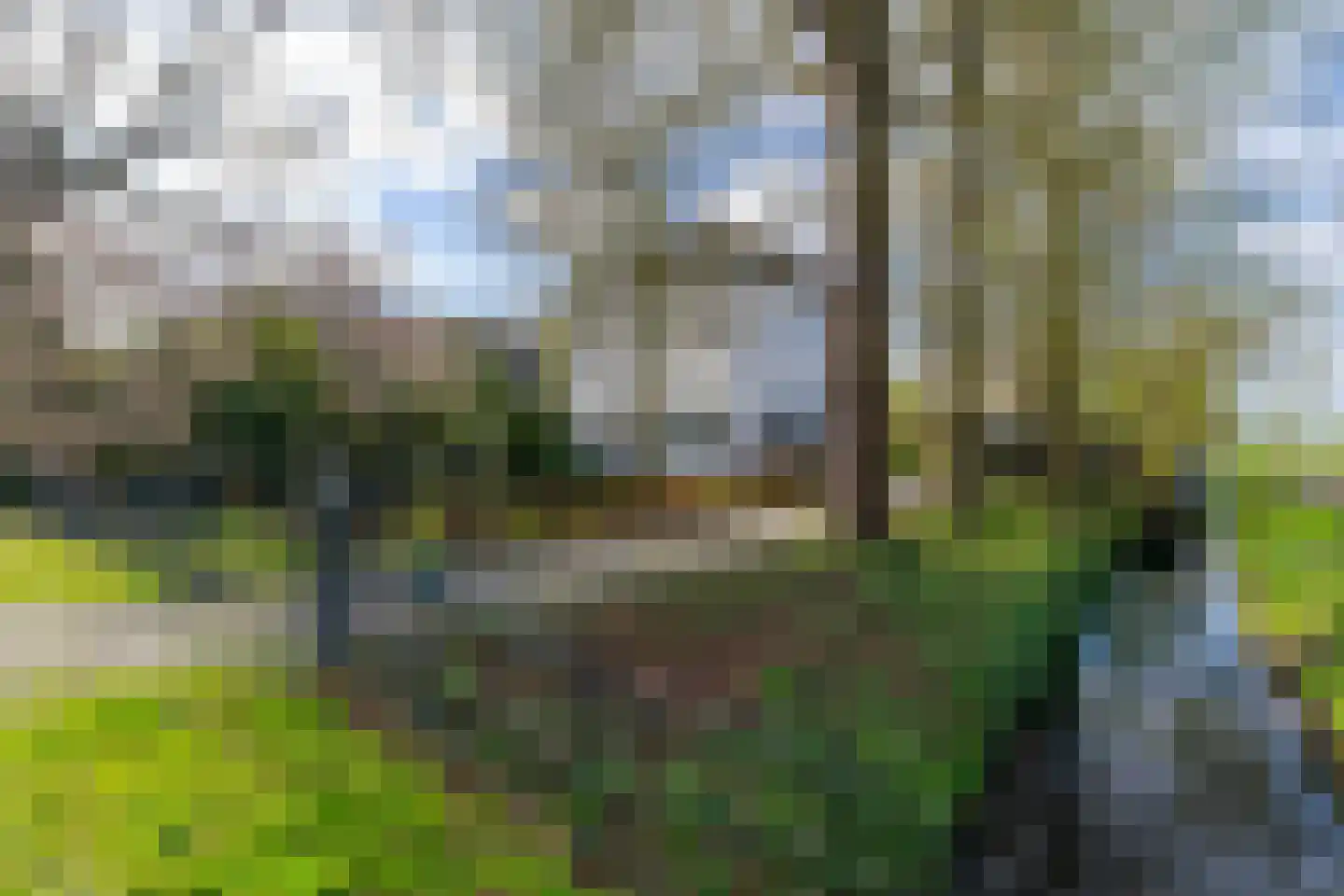 Kerkdijk 51 Westbroek thumbnail 44