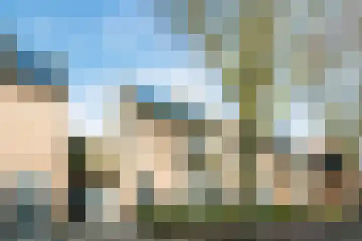 Kerkdijk 6 C 's Gravenmoer thumbnail 6