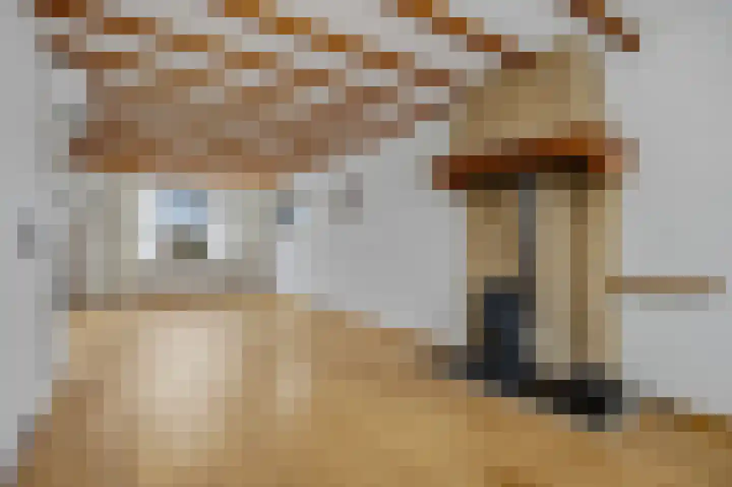Kerkdijk 9 Hooge Zwaluwe thumbnail 13