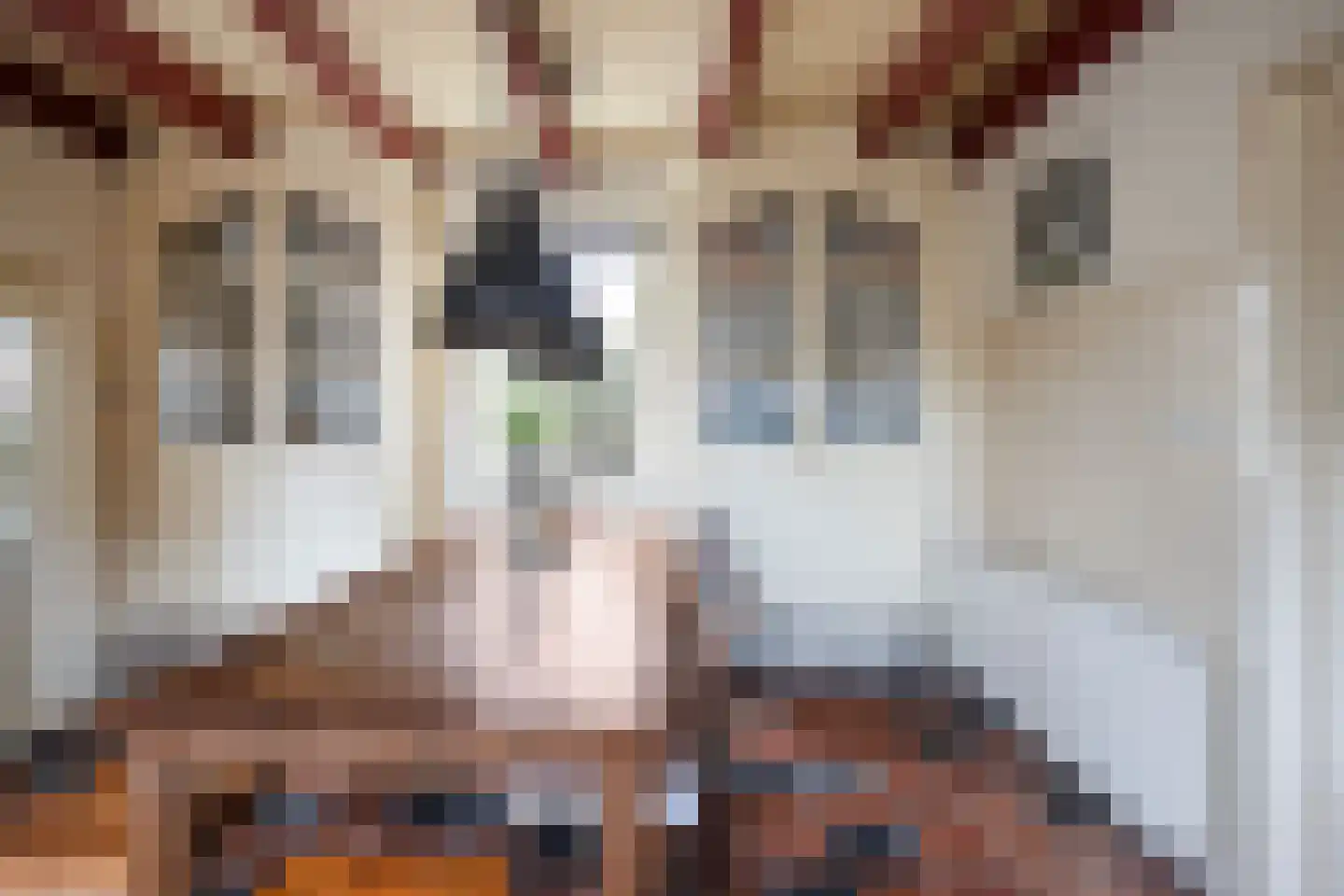 Kerkdoel 5 Nieuw-Beijerland thumbnail 20