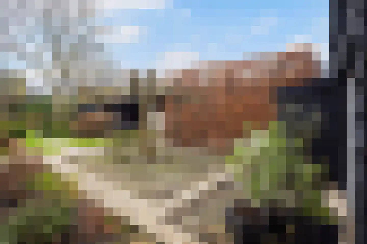 Kerkdoel 5 Nieuw-Beijerland thumbnail 48