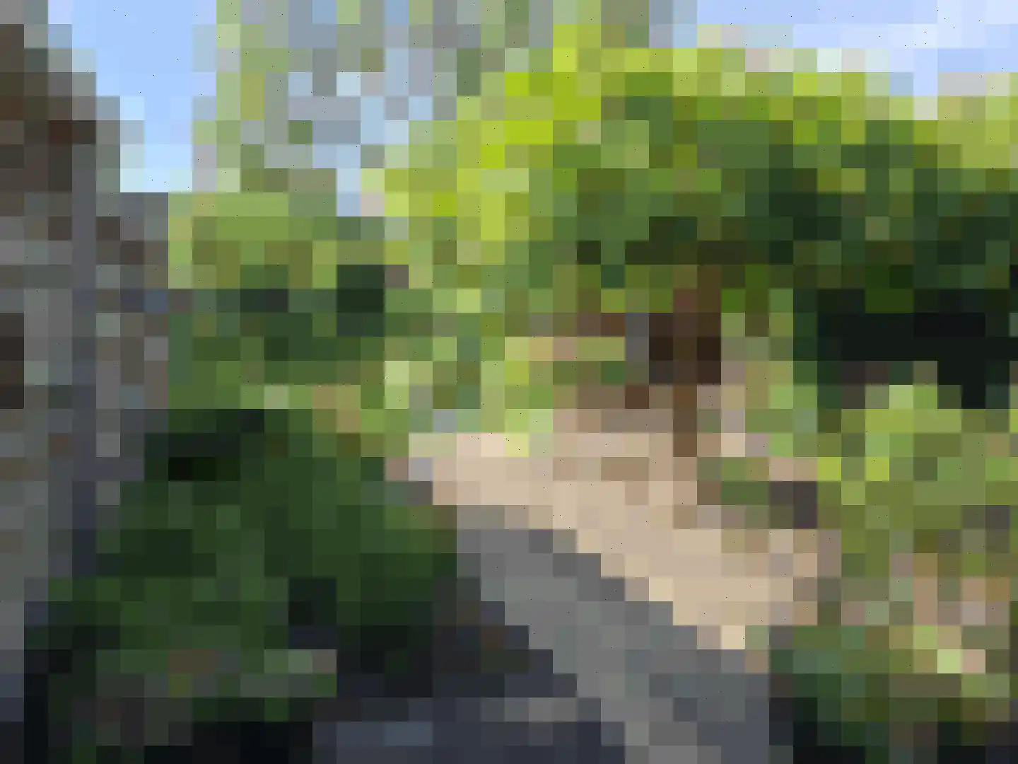 Kerkdoel 5 Nieuw-Beijerland thumbnail 48
