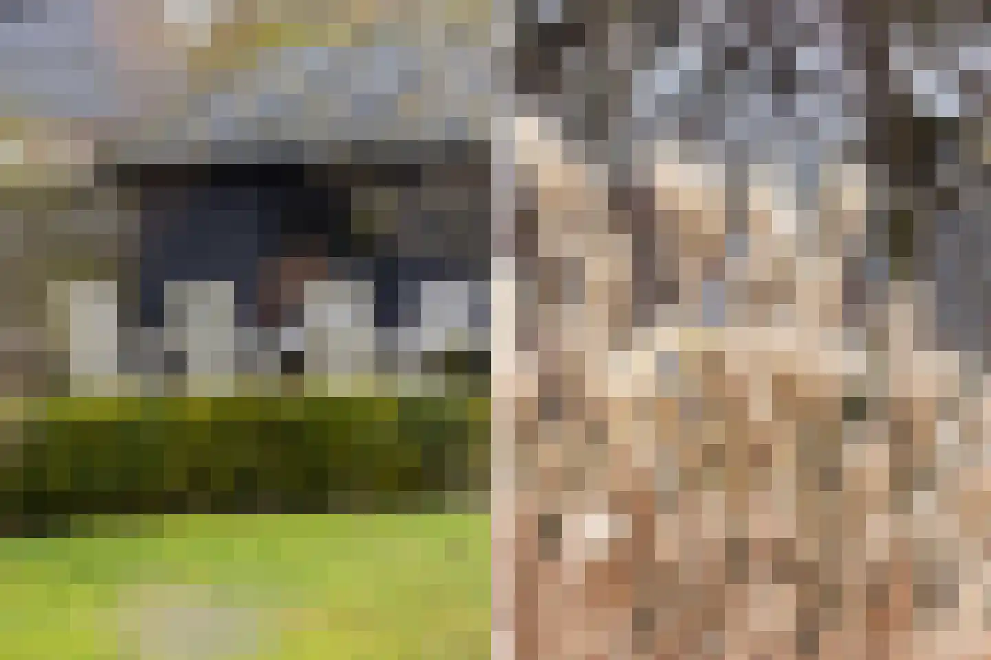 Kerkdoel 5 Nieuw-Beijerland thumbnail 63
