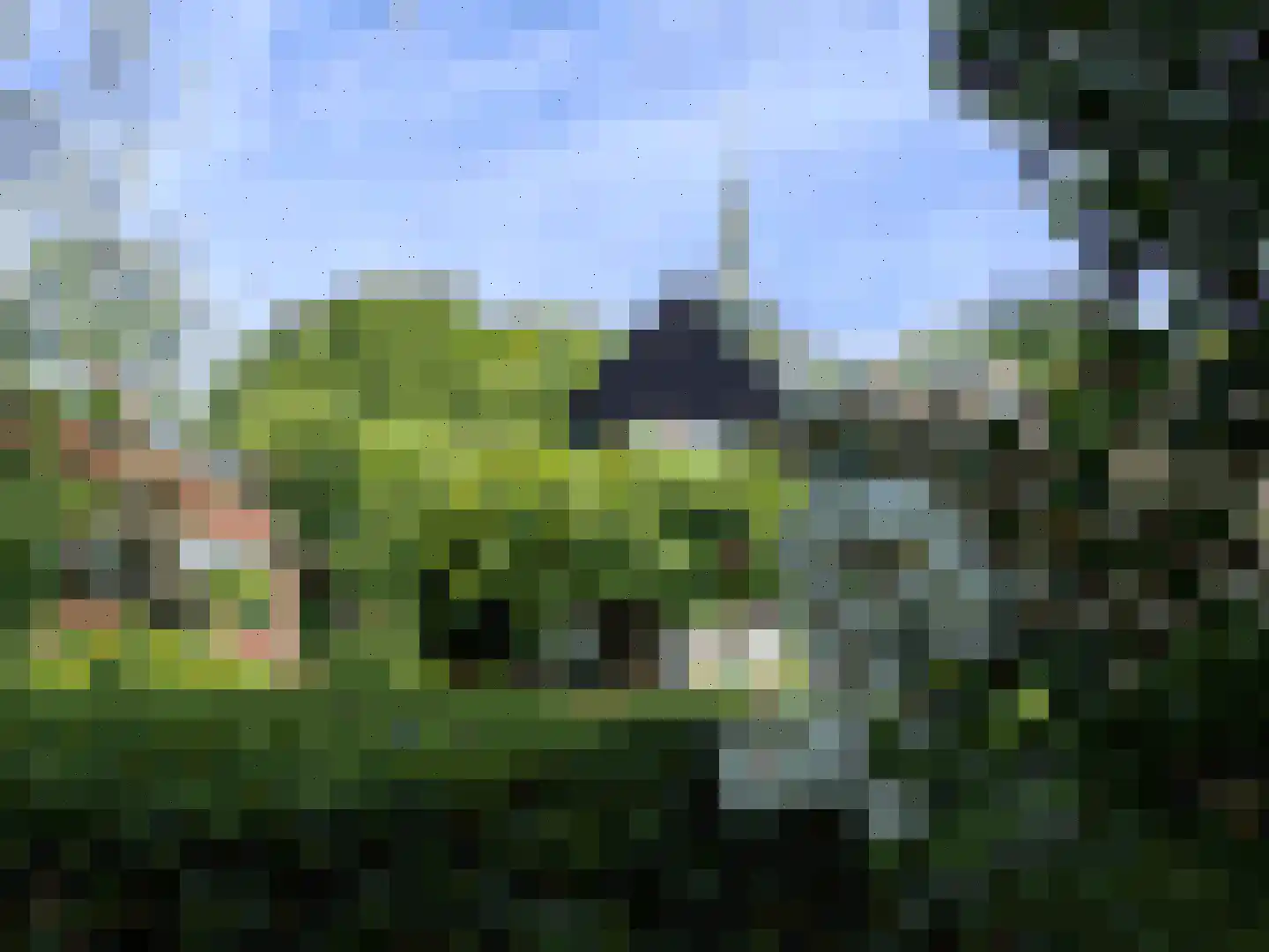Kerkdoel 5 Nieuw-Beijerland thumbnail 66