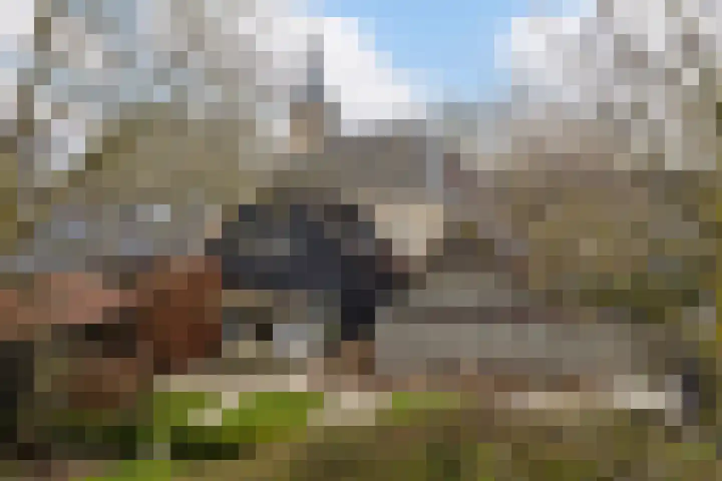 Kerkdoel 5 Nieuw-Beijerland thumbnail 68