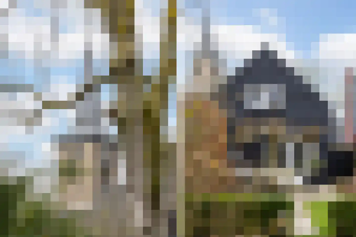 Kerkdoel 5 Nieuw-Beijerland thumbnail 74