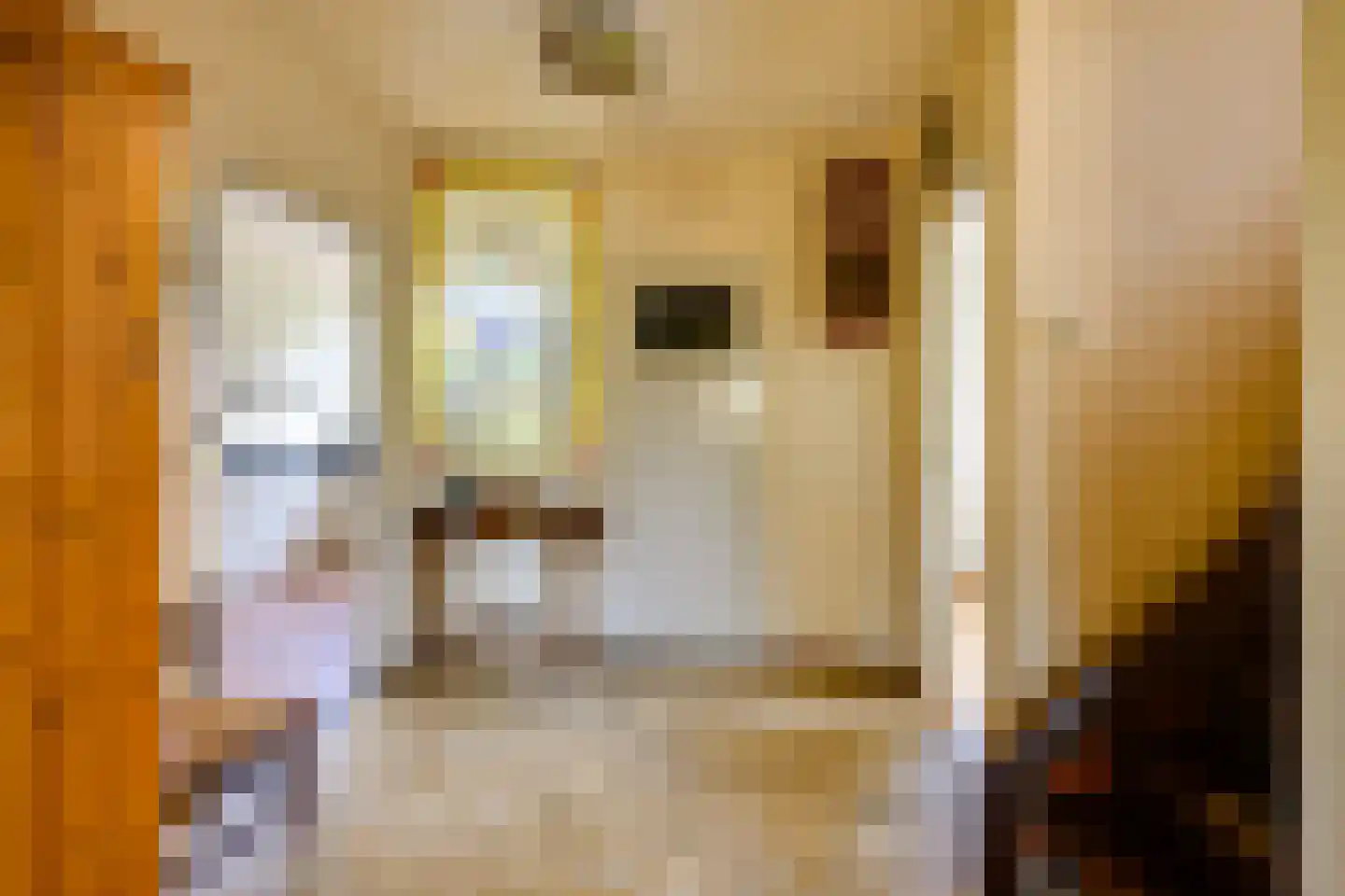 Kerkdreef 19 Krimpen aan den IJssel thumbnail 13