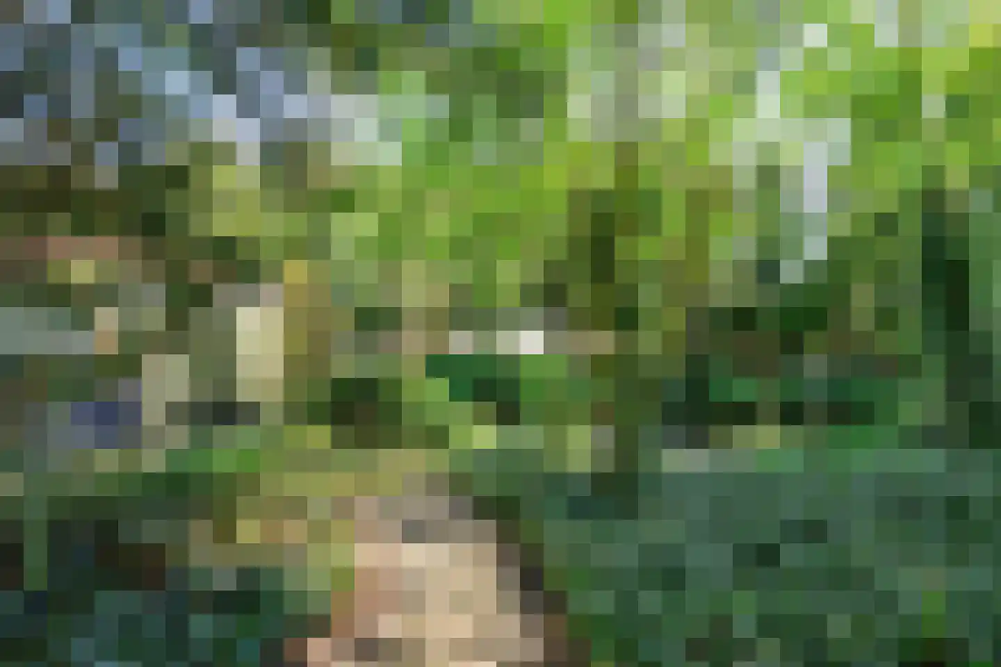 Kerkdreef 19 Krimpen aan den IJssel thumbnail 42