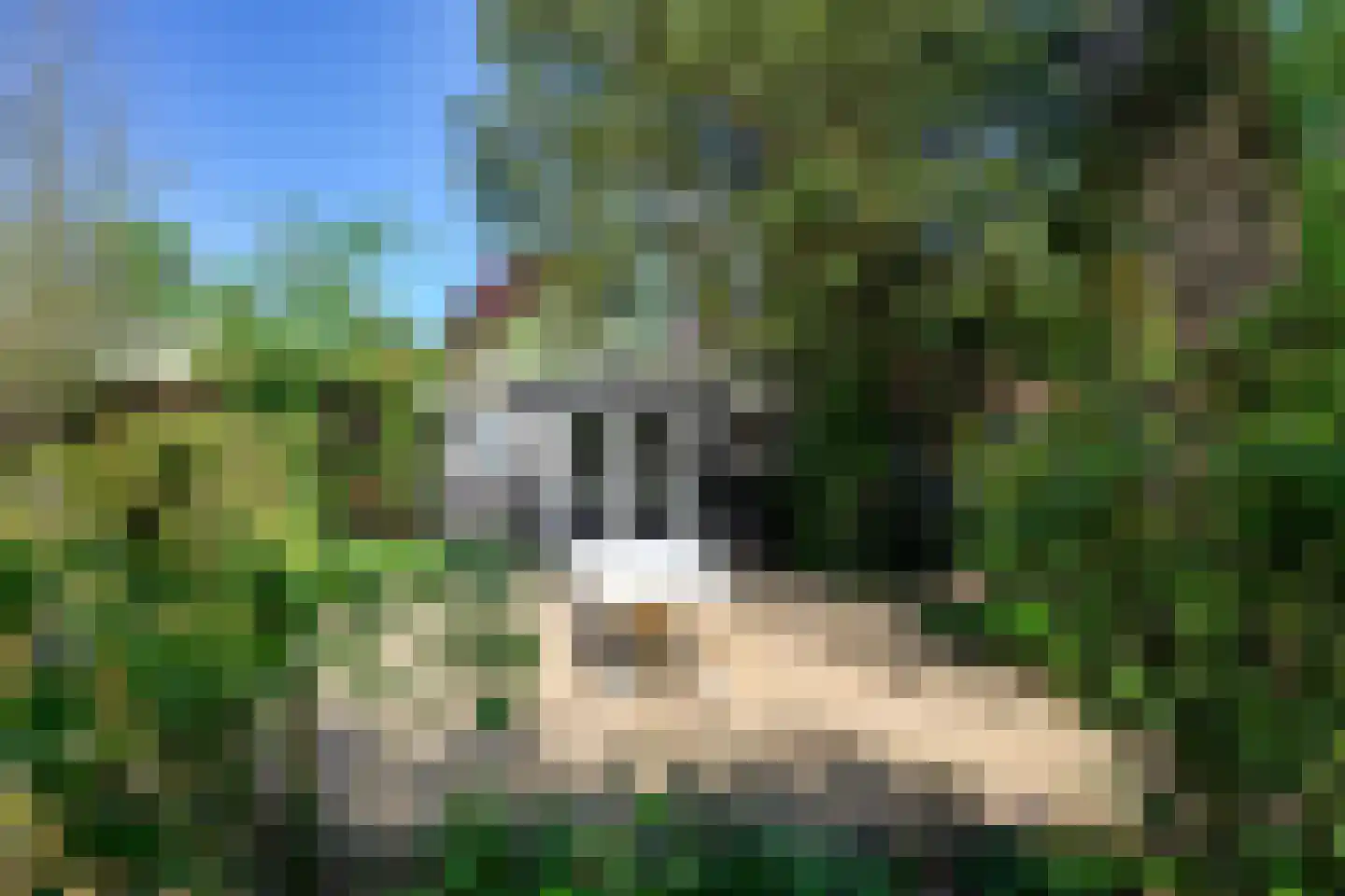 Kerkdreef 19 Krimpen aan den IJssel thumbnail 46