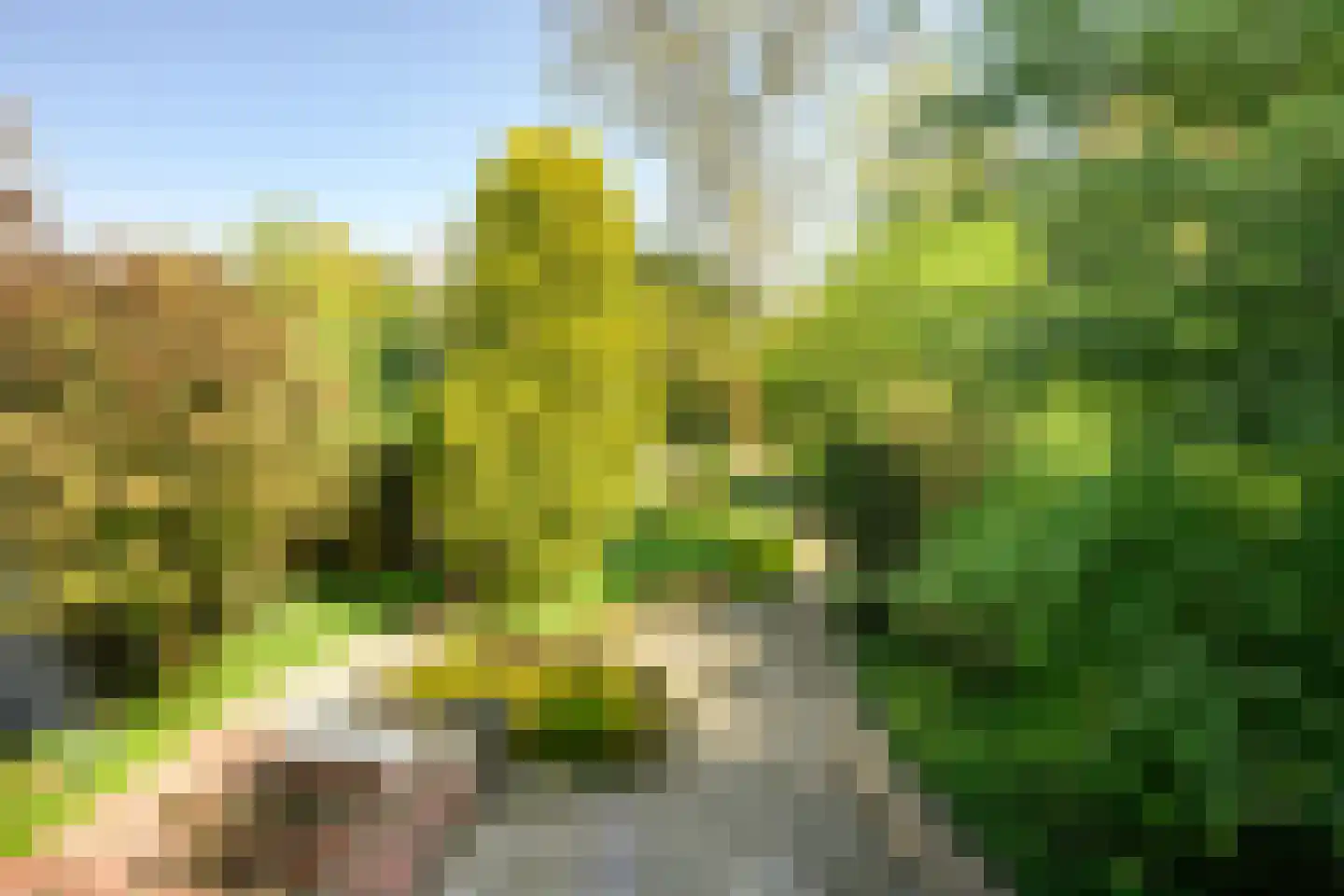 Kerkdreef 19 Krimpen aan den IJssel thumbnail 49
