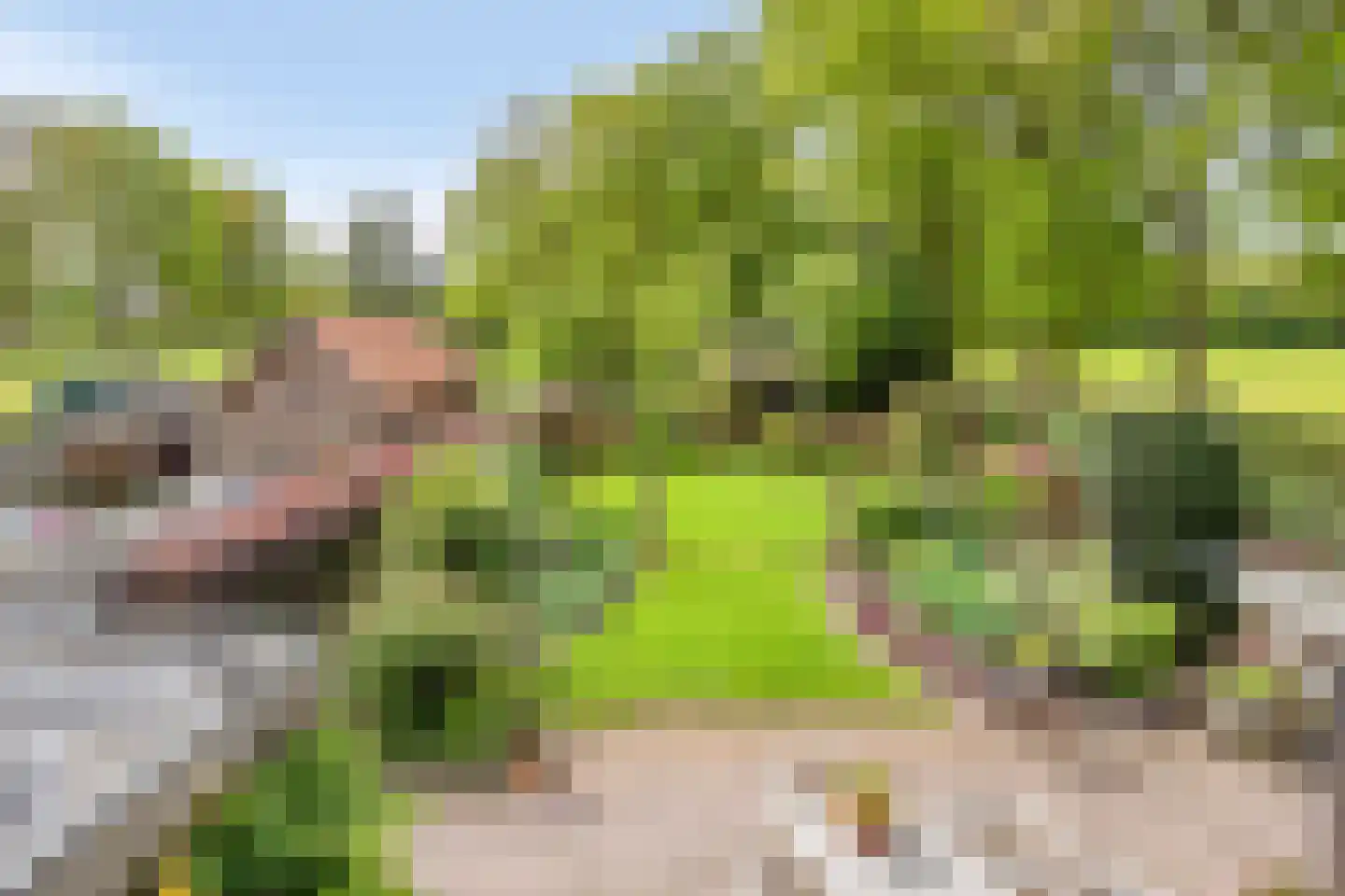 Kerkdreef 2 Nijeholtpade thumbnail 16