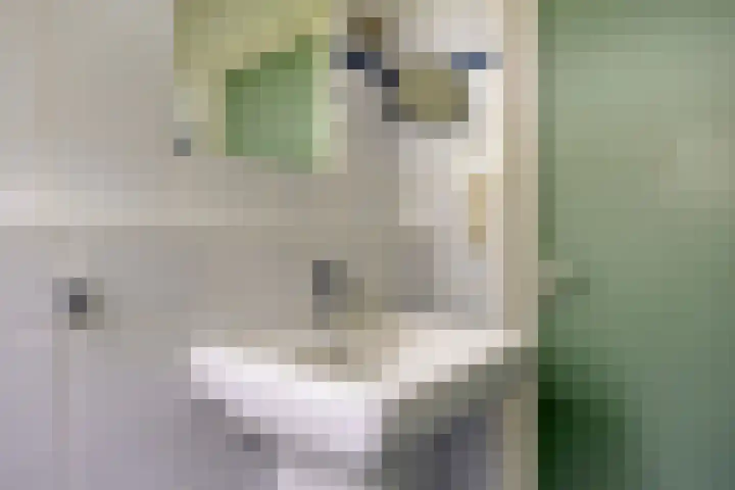 Kerkdreef 2 Nijeholtpade thumbnail 22