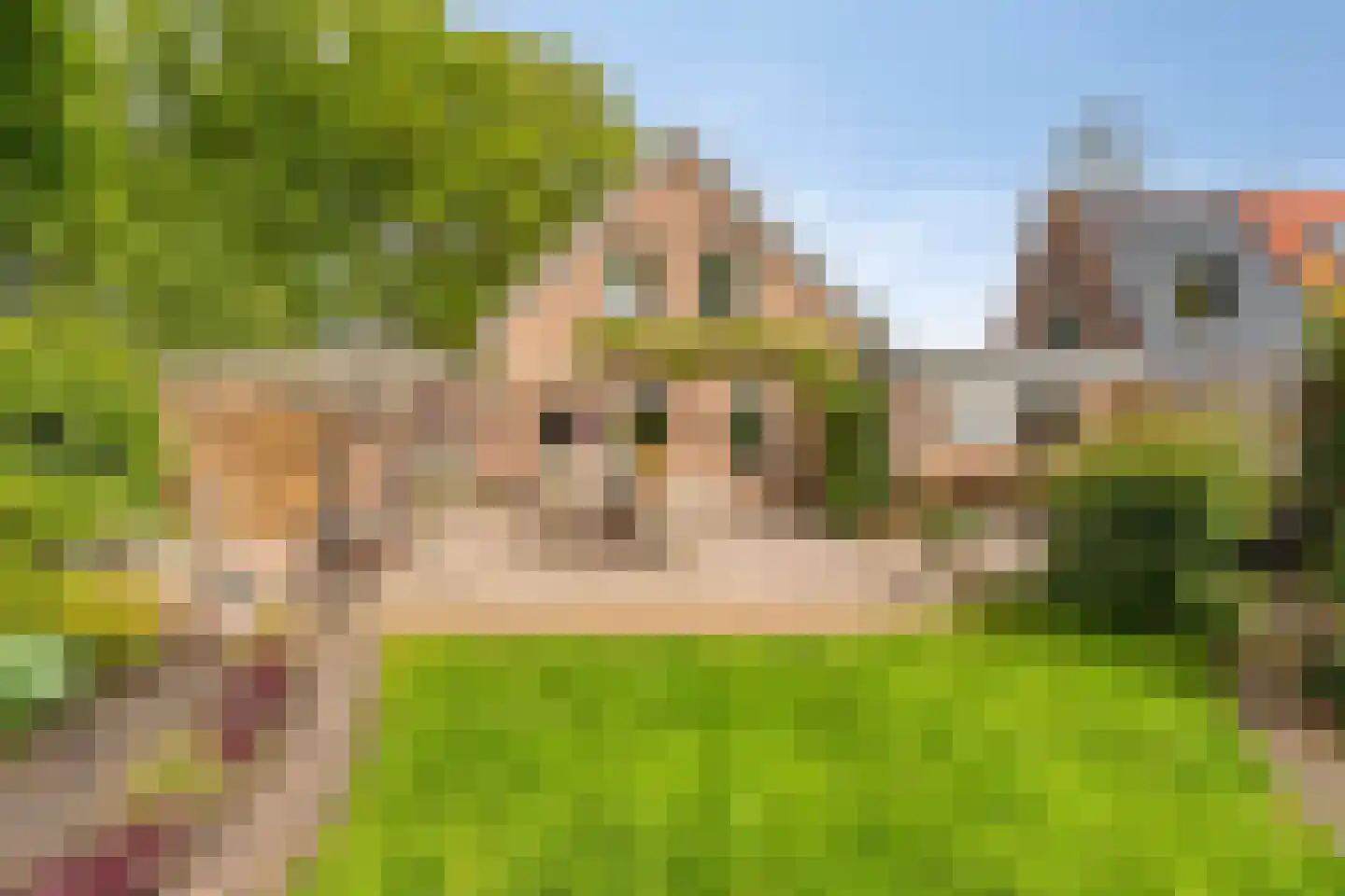 Kerkdreef 2 Nijeholtpade thumbnail 23