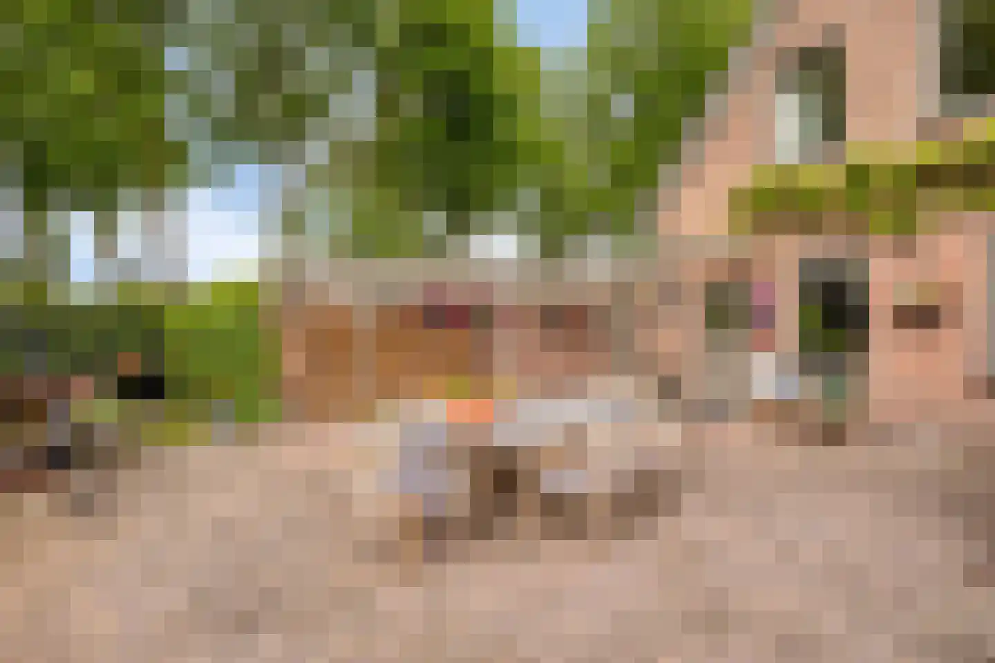 Kerkdreef 2 Nijeholtpade thumbnail 24