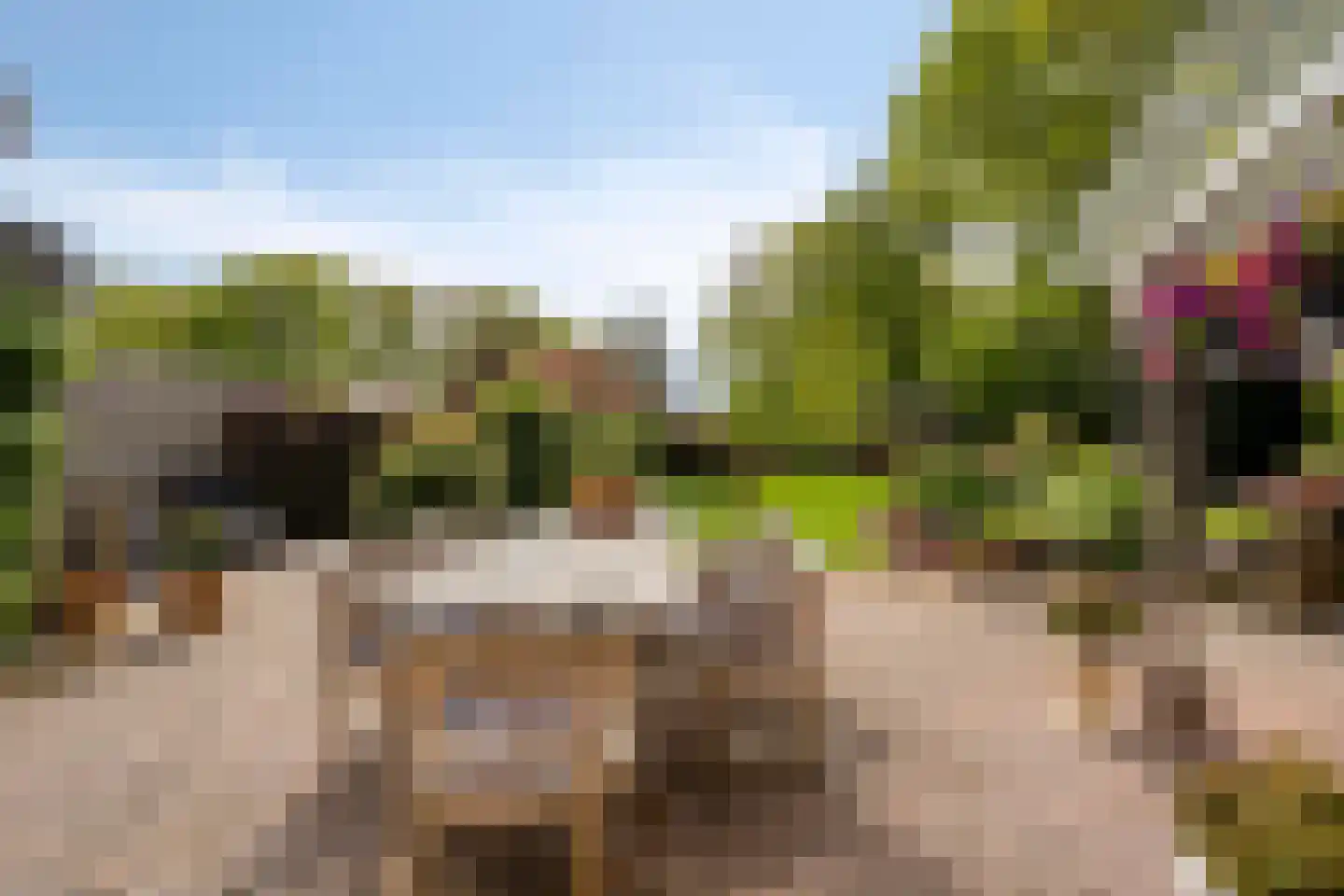 Kerkdreef 2 Nijeholtpade thumbnail 25
