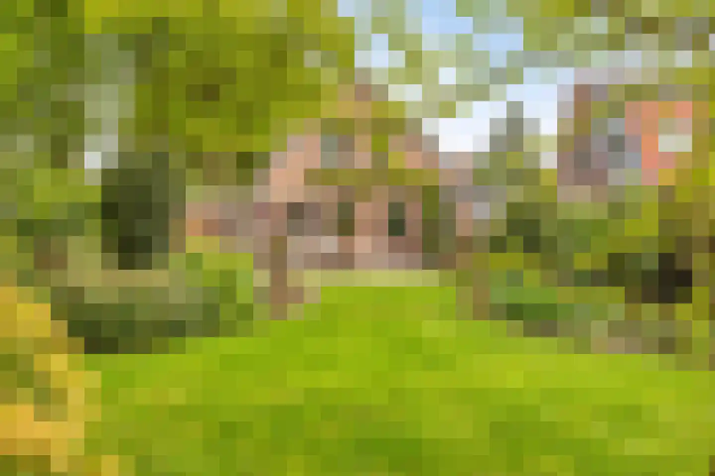 Kerkdreef 2 Nijeholtpade thumbnail 27
