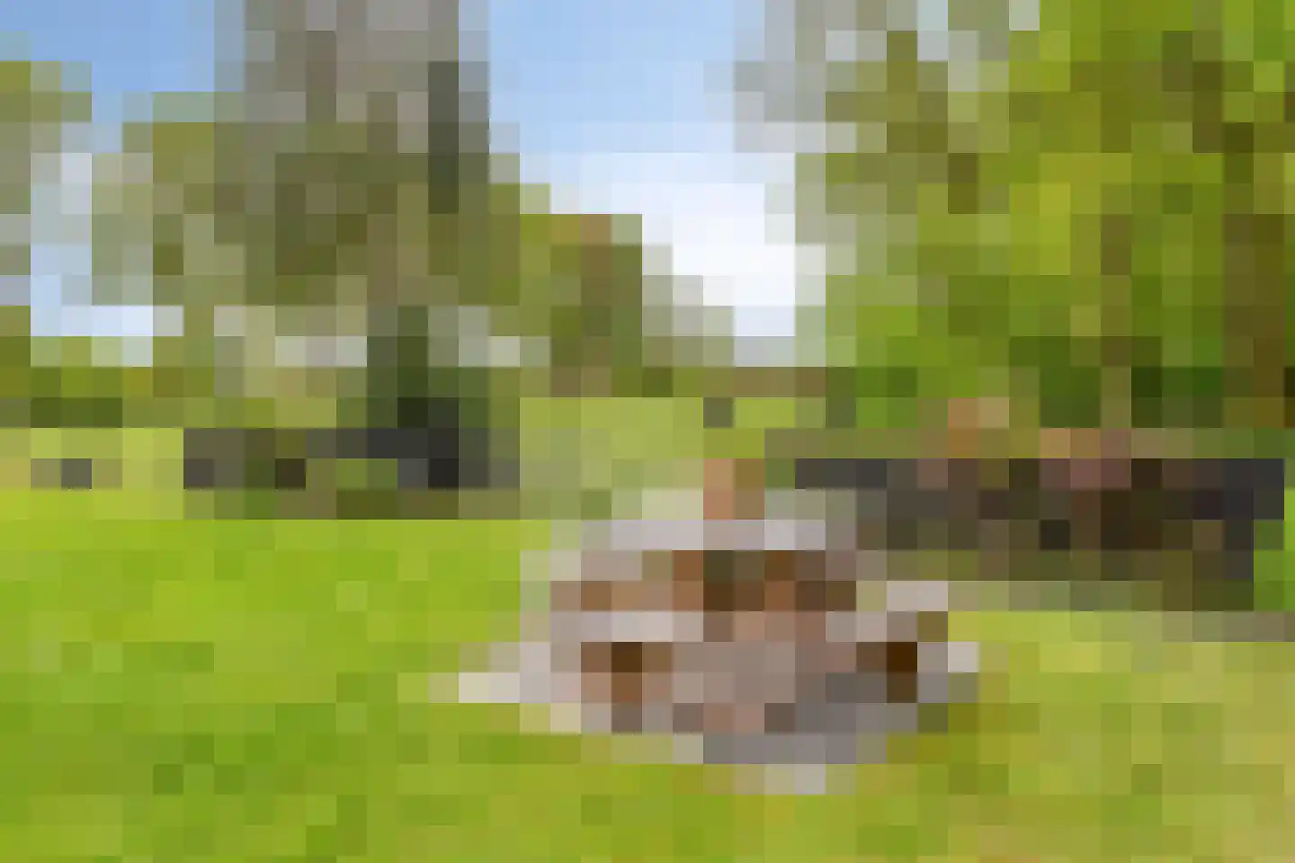 Kerkdreef 2 Nijeholtpade thumbnail 28